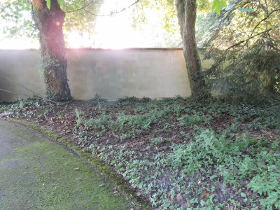 DSCN5461.JPG