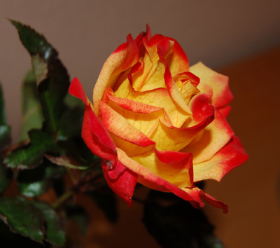 Sieben_Farben_0116_67.jpg