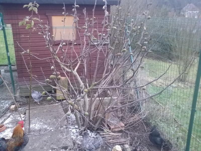 20170114_164557.jpg