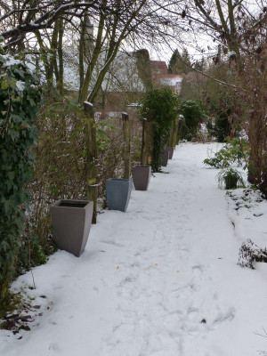 2017-01-14 Garteneinblick 2.jpg