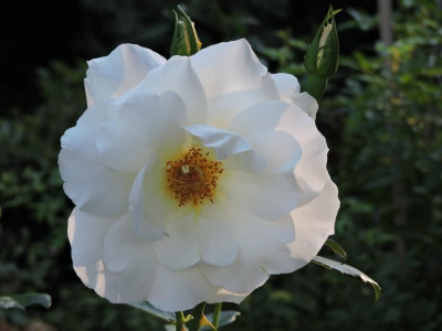 DSCN5814.JPG