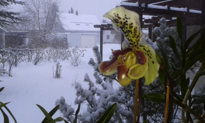 20170115_094359.jpg
