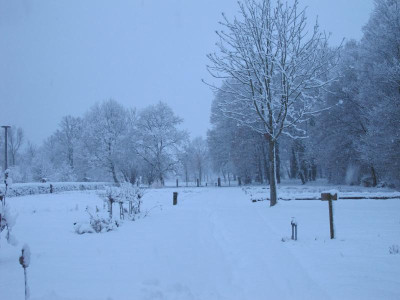 Winter 16.1.17 ue.JPG