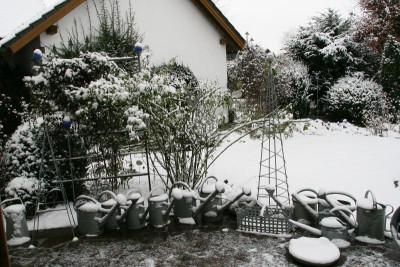 Winter0816.JPG