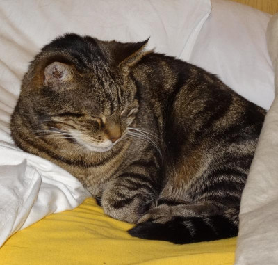 liese20.jpg