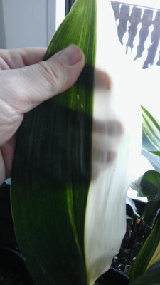 20170117_101353.jpg