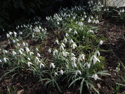 DSCN5895_1949.JPG