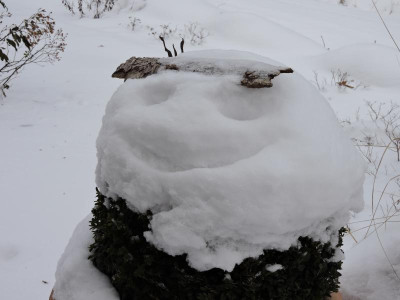 DSCN6337.JPG