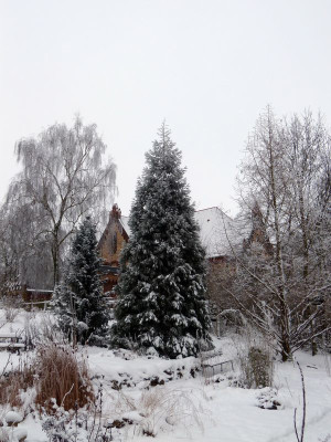 2017-01-18 Gartenimpressionen 5.jpg