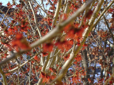 DSC00162.JPG
