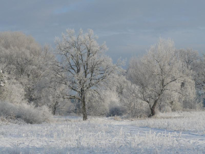 winter24.jpg