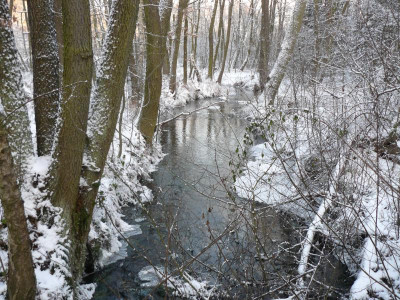 Schnee 1.jpg