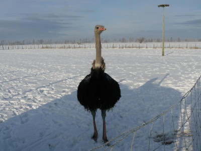 Bild 199.jpg