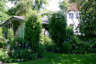 Rosenbogen 0107.jpg