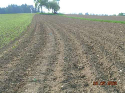 05_08__am_acker.jpg