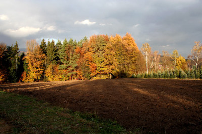 Spatherbst-2.jpg