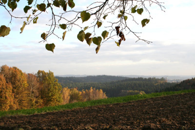 Spatherbst-11.jpg