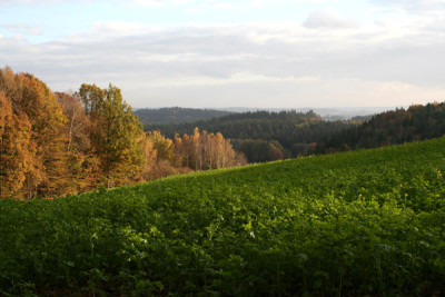 Spatherbst-13.jpg
