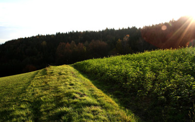 Spatherbst-19.jpg