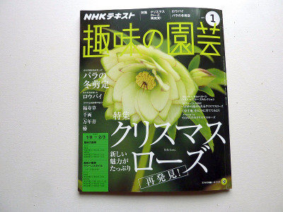 japanhellis 1.jpg