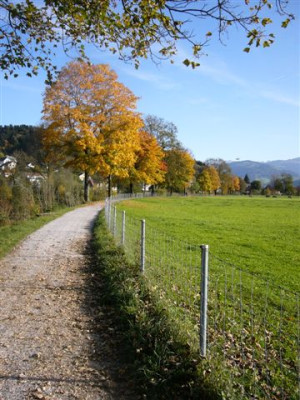 P1050178.JPG