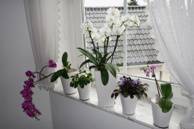 Nord-Ost-Fenster 25.1.2017.jpg