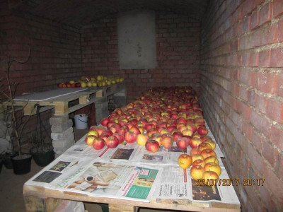im Scheunenkeller 2017 008.jpg