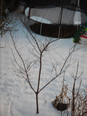 DSCN2693.JPG