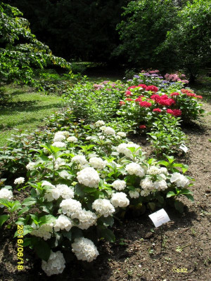 Gartenreise201603.jpg