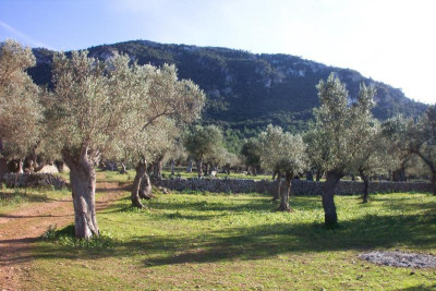 100_4623.JPG