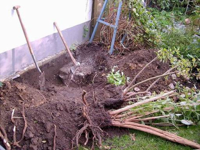 Herbstarbeit.JPG