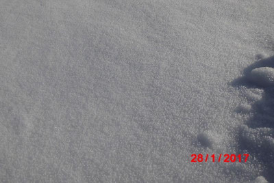 DSCI0665.JPG
