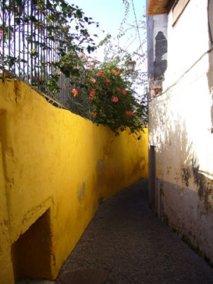 Madeira_12.2006_051.jpg