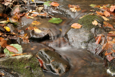 Wasser-3.jpg