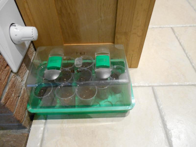 DSCN3970.JPG