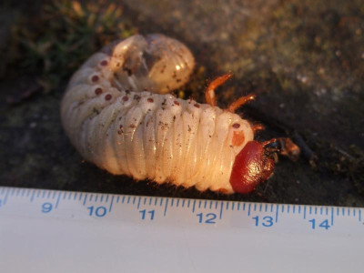 DSCF3572.JPG