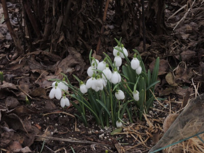 DSCN2395_1969.JPG