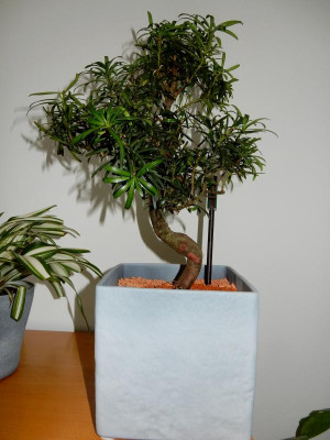 DSCN2057.JPG