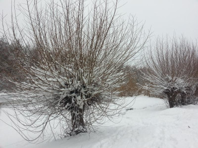 20170131_154728.jpg