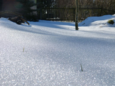 2017-02-04 Gartenimpressionen 1.jpg