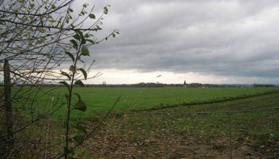 DSCN8260.jpg