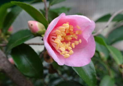 DSC04295.jpg