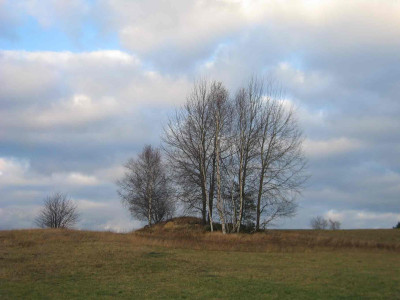 birkennov.jpg