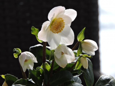 DSCN6362.JPG