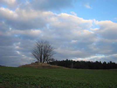 buehelnov1.jpg