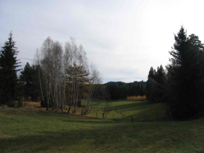 schafweide.jpg