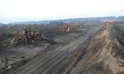 DSCI0714.JPG