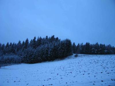 feldwaldschnee1.jpg