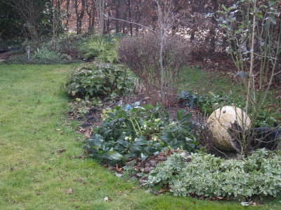 Suchbild.jpg