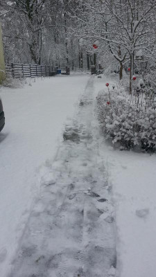 IMG-20170131-WA0005.jpeg